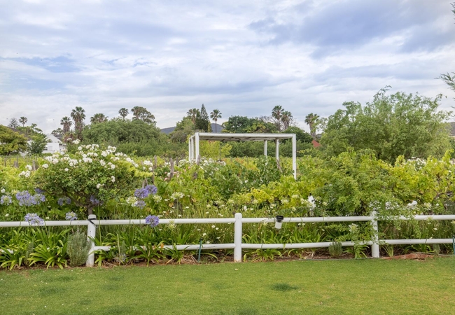 The Vineyard Country House