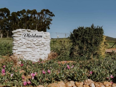 Vleidam Guest Farm