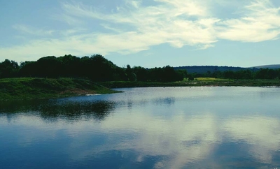 Vyge Valley Estate