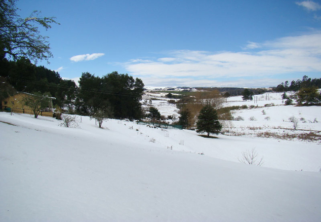 The Wagon Trail Cottage