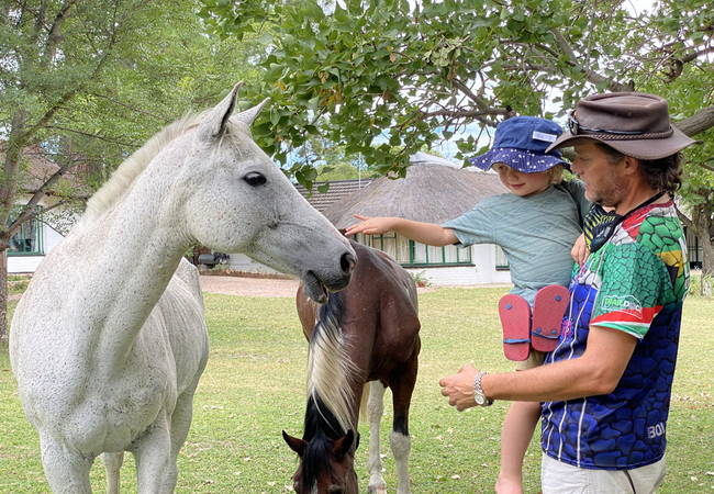 Horses in the garden at Waterberg Cottages