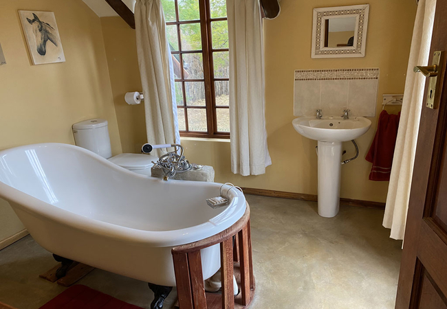 Bushwillow Cottage en-suite bathroom