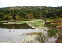 Waterberg Wilderness Reserve