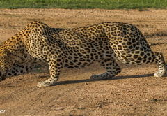 Waterbuck Game Lodge