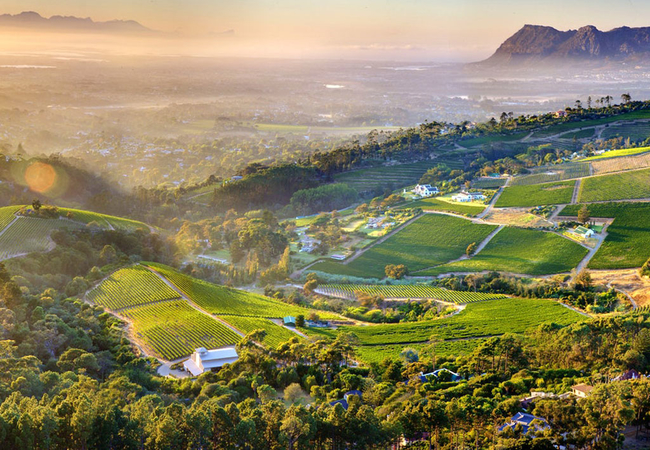 View from Constantia Glen