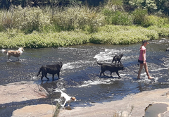 Heron Cottage @ Waterhoek Guest Farm