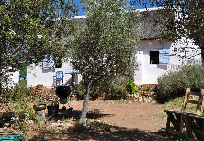 Lavender Cottage