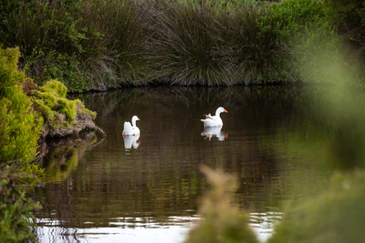 West Coast Luxury Tents