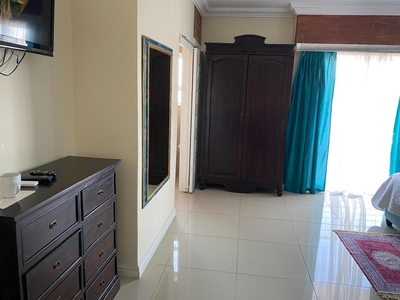 Traditional Double Room - Cleaner Wrasse