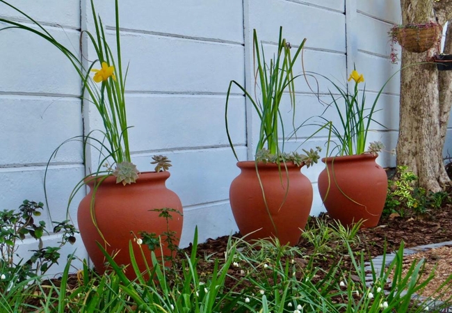 Whistlewood Guest House