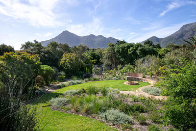 White Protea Haus