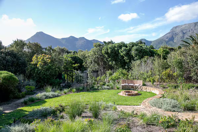 White Protea Haus