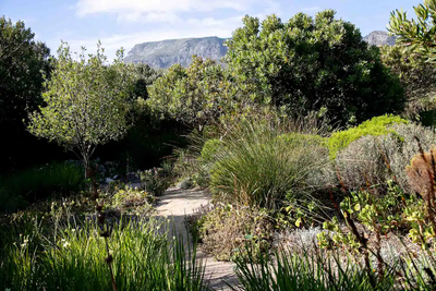 White Protea Haus