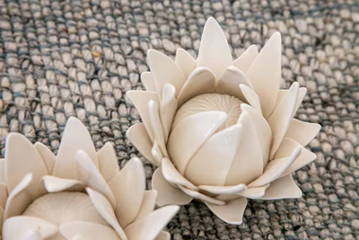 White Protea Haus