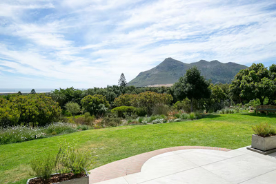 White Protea Haus
