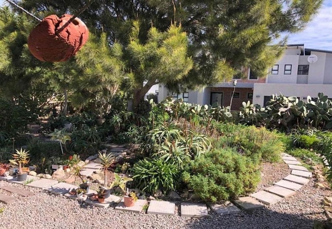 Wild Aloe Apartments