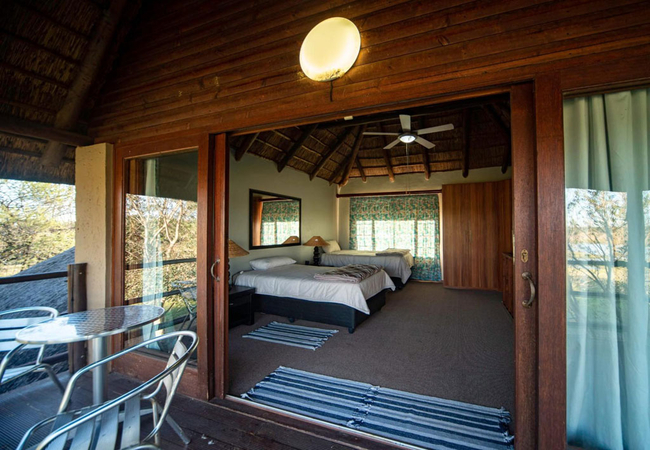Cheetah Chalet