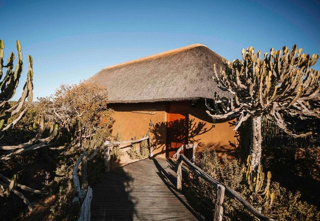 Wildebeest Chalet