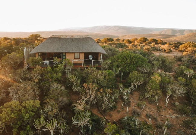 Wildebeest Chalet