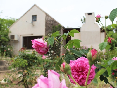 Berry Cottage