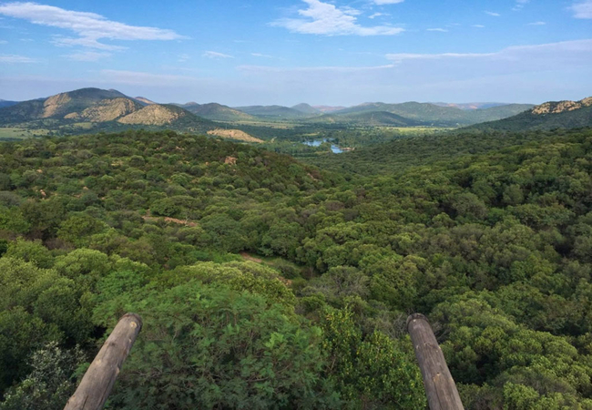 Wild Olive Country Retreat