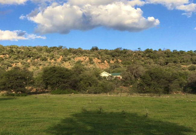 Wild Olive Country Retreat