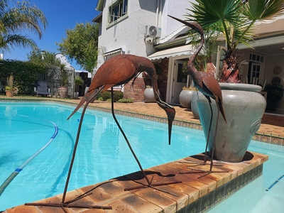 Wild Olive Guest House