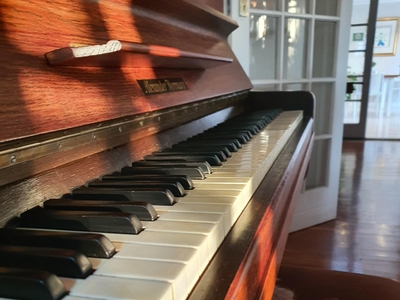 Wild Olive Guest House