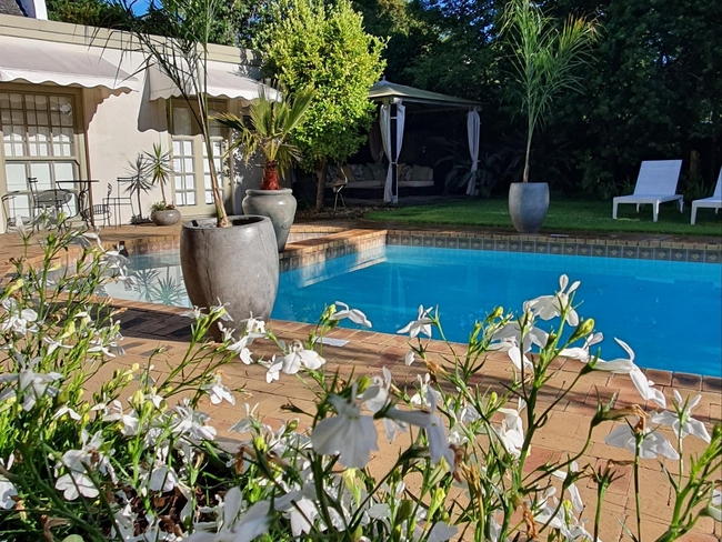 Wild Olive Guest House