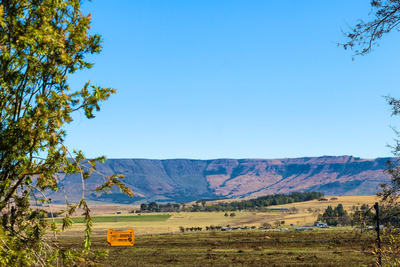 Wild Olive Luxury Accommodation