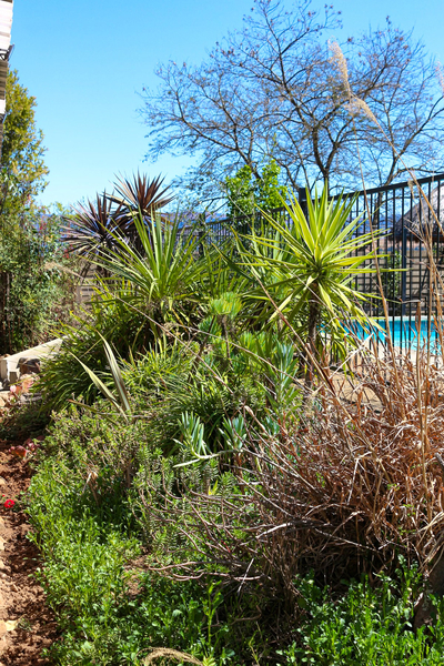 Wild Olive Luxury Accommodation