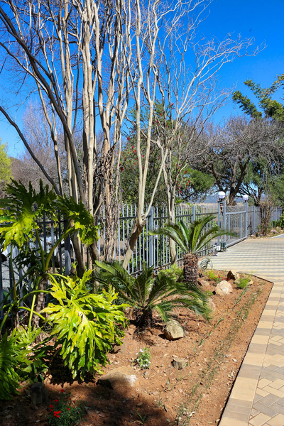 Wild Olive Luxury Accommodation