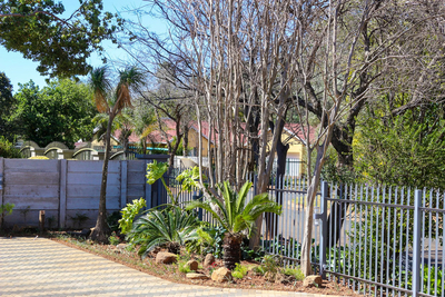 Wild Olive Luxury Accommodation