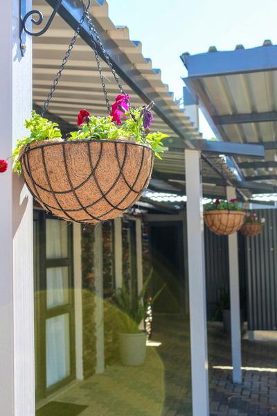 Wild Olive Luxury Accommodation