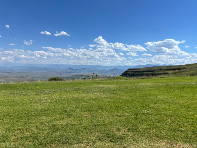 Mountain View Superior 6