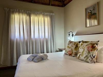 Mountain View Superior 8