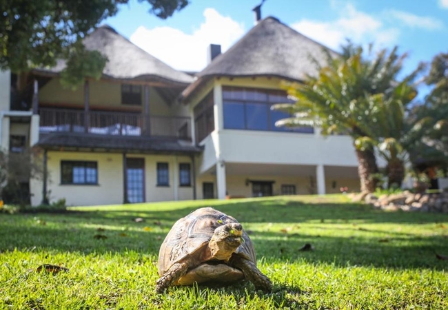 Winelands Villa Guesthouse 