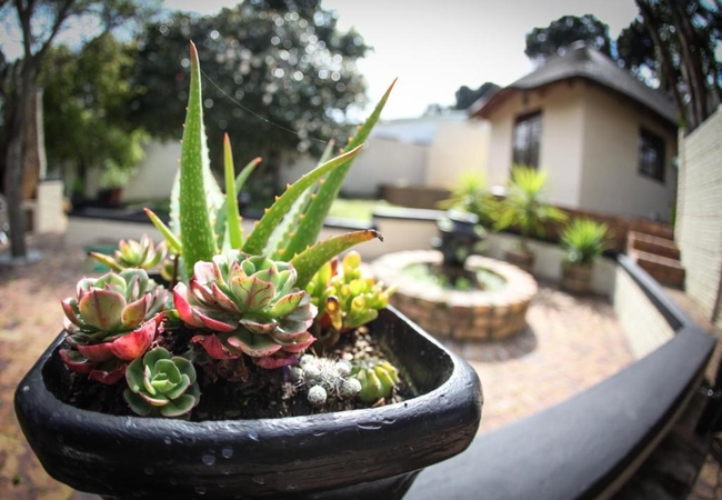 Winelands Villa Guesthouse 