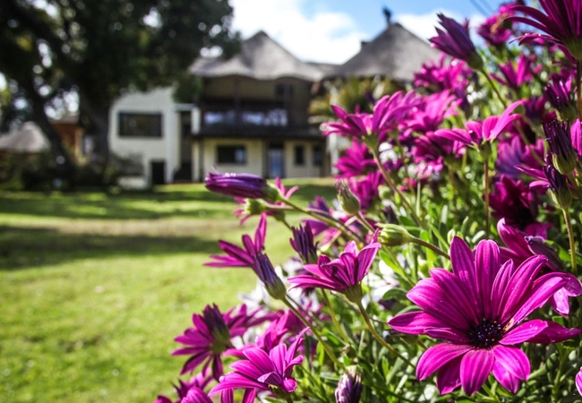 Winelands Villa Guesthouse 