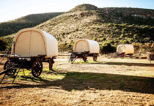 King / Twin Oxwagons