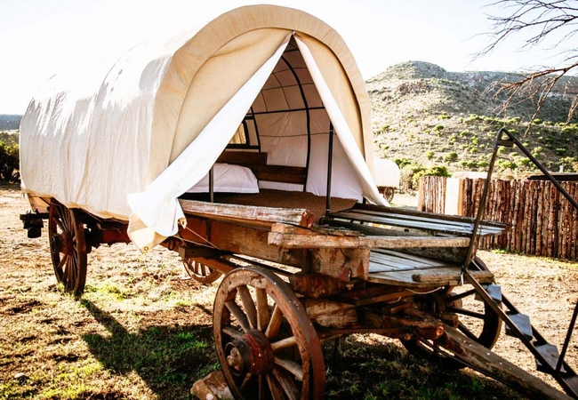 King / Twin Oxwagons