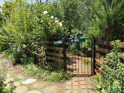 Ibis Chalet