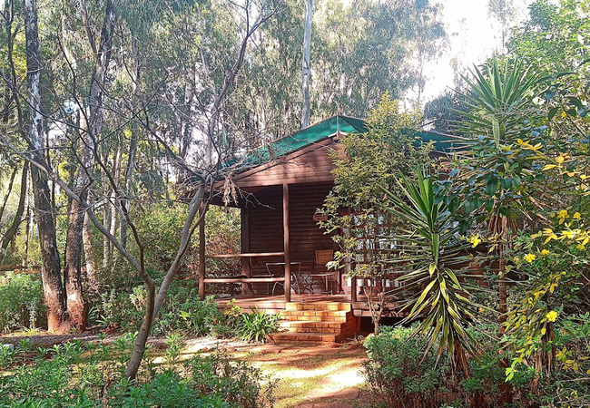 Ibis garden cottage