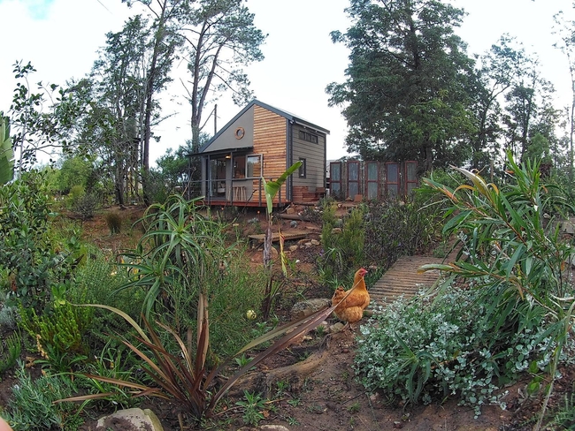 The Nest