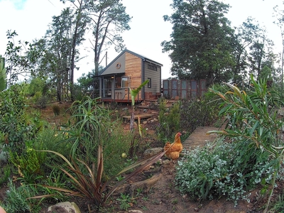 The Nest