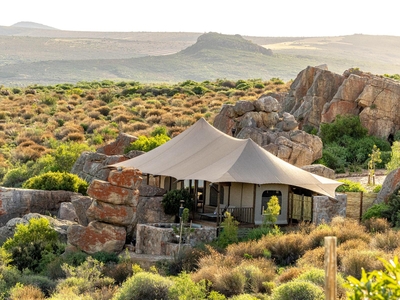 Premium Tent
