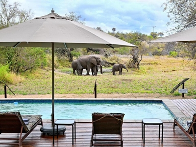 Zazu Private Bush Lodge