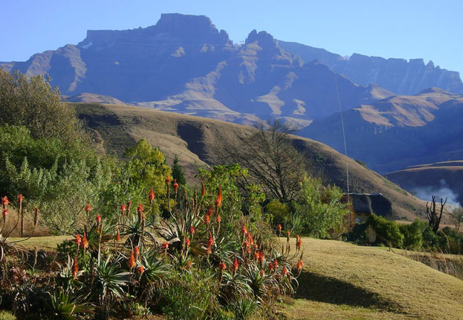 Stunning gardens and mountain views