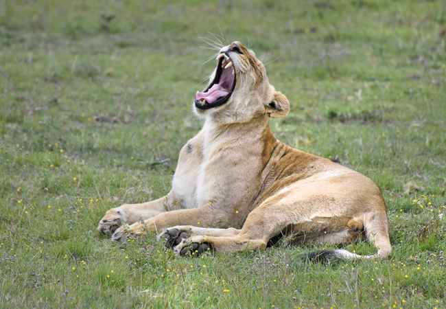 Zuurberg Mountain Village