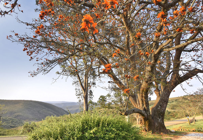 Zuurberg Mountain Village